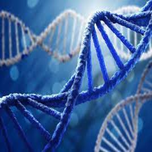بانک زیستی DNA انسانی